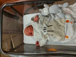 louis